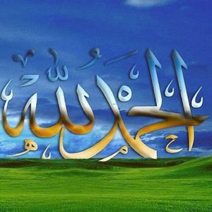 Meet your Posher, Sonia